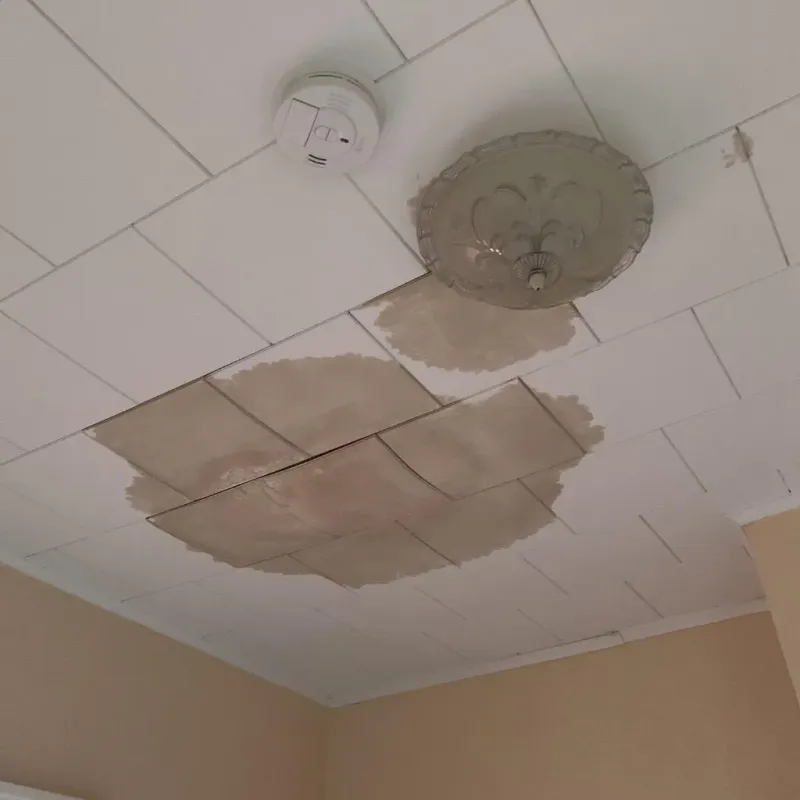 Ceiling Water Damage Repair in Glendale, MO